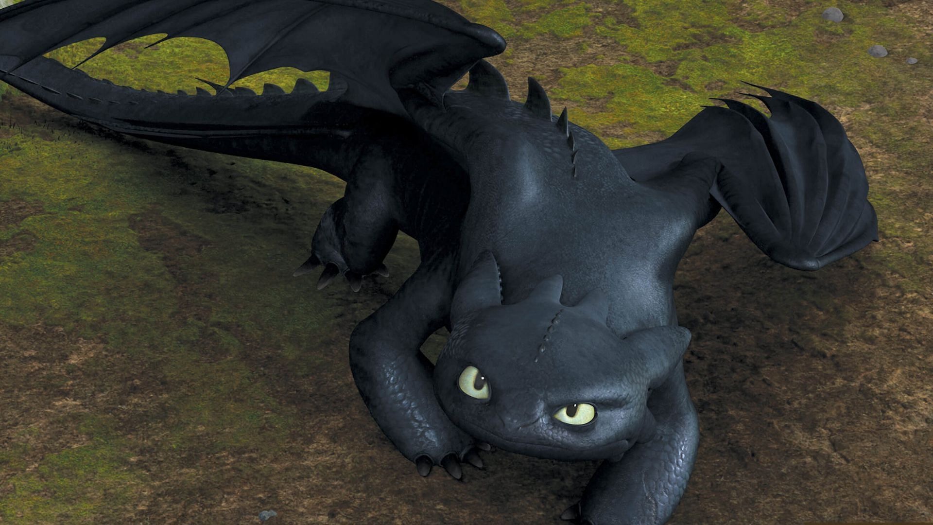 Toothless is a Night Fury (Image via DreamWorks)